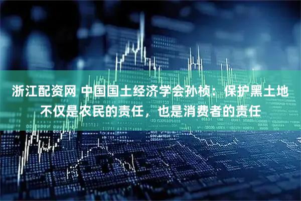 浙江配资网 中国国土经济学会孙桢:保护黑土地不仅是农民的责任,也是消费者的责任